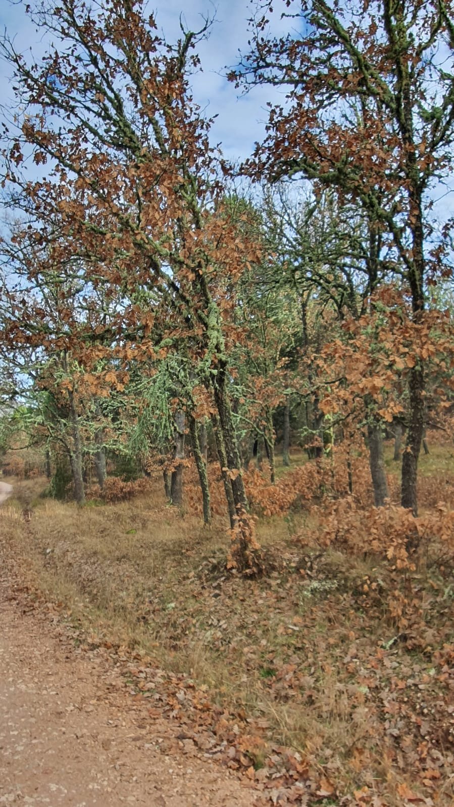 Foto de la ruta